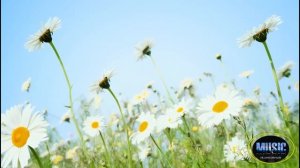 AlbretKroule -_Мы будем жить долго и счастливо_(Окончательный вариант)