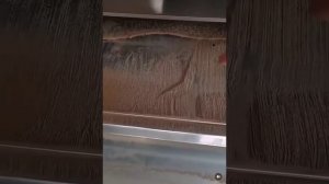 Чистка ковра😀😀😀