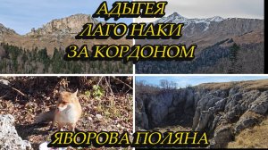 В АДЫГЕЮ НА ОДИН ДЕНЬ, ПЛАТО ЛАГО НАКИ-ЗА КОРДОНОМ