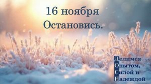 16 ноября. Остановись.