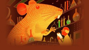 Время колкольчиков : Тень Кали