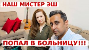 Нам  пришлось везти кота в больницу! Насколько дорого сходить в вет клинику в Индии?