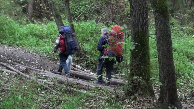 РЭКС осень2025 зарисовка 1