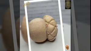 В процессе жёлудь точечный