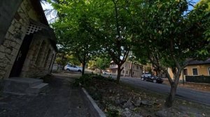 Прогулка по Сухуму