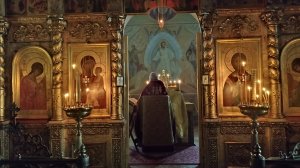 Проповедь прот. Николая Германского. Евангелие о гадаринском бесноватом. 09.11.2025 г.