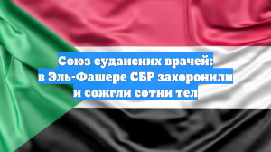 Союз суданских врачей: в Эль-Фашере СБР захоронили и сожгли сотни тел
