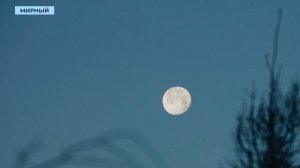 Впервые за девять лет на небе появилась «бобровая» луна