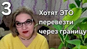 Хотят ЭТО перевезти через границу❗️