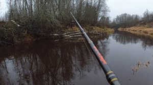 Река Тосна Щук Нет