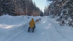 Квест Гонка милосердия. Касьянова Алёна Андреевна. Фестиваль геобрендов «Земля открытий»