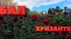 Бал Хризантем в Никитском Ботаническом саду в Крыму 2025.Жара в конце октября??!