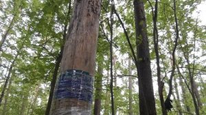 Нн ИВАНОВ _ ПОЛЕЗНЫЕ УПРАЖНЕНИЯ ( Д - ЖИМ ) 2025