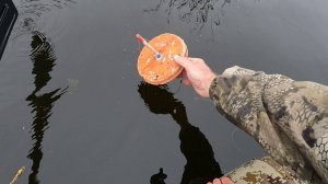 На новом месте  Удачная рыбалка на кружки . Ноябрь 2025