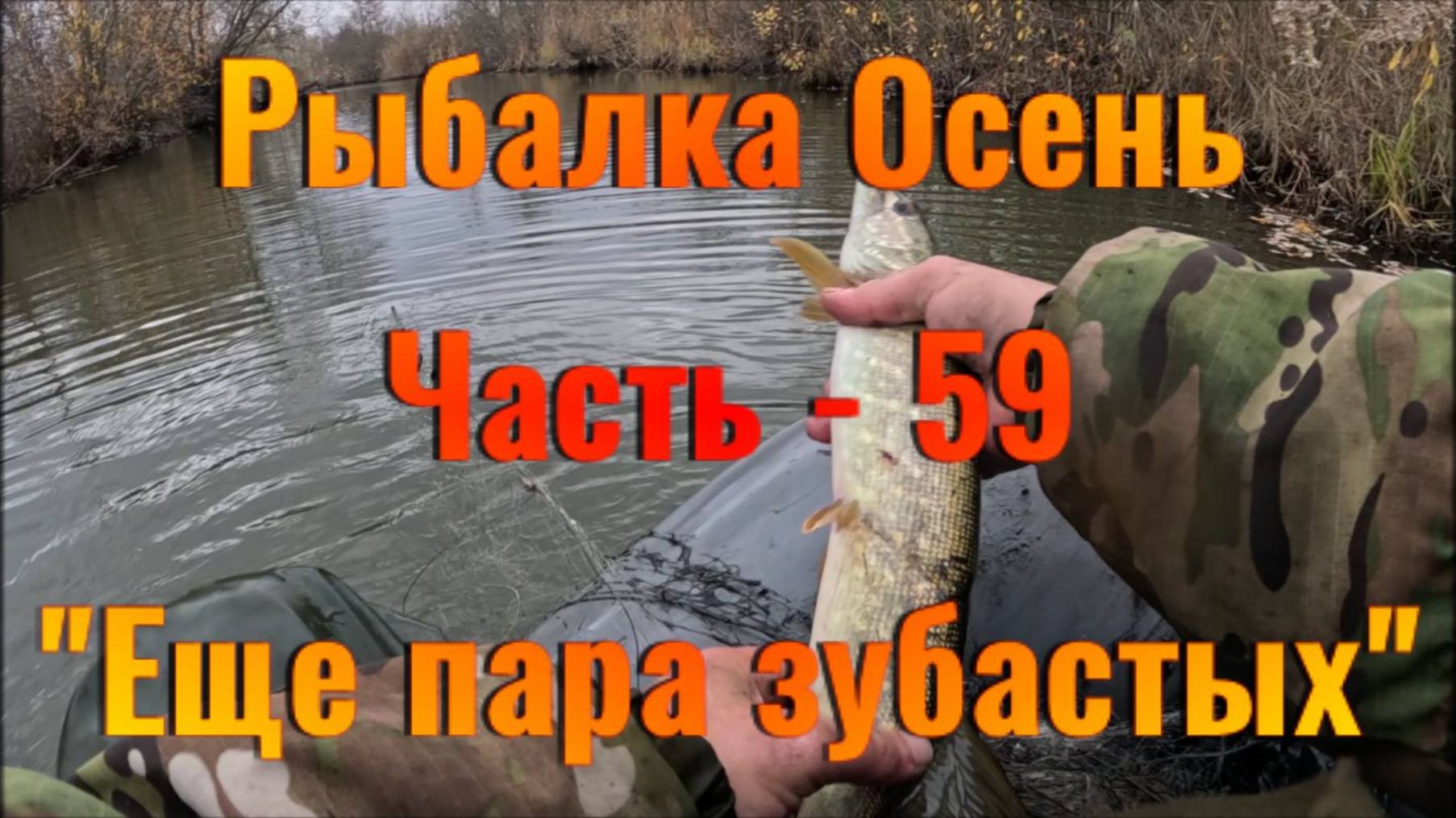 Рыбалка Осень. Часть - 59. "Еще пара зубастых".