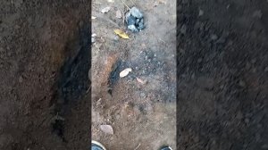 Нашли УГОЛЬ под Горой