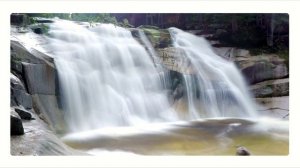 Joel Kanning - Proles Neptunia