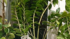 Исчезло всё...