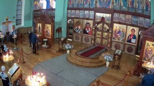 Трансляция 09.11.2025 09:00