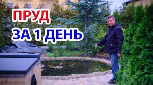 Пруд для нимфей за 1 день