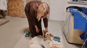 Кормим Марту только так!