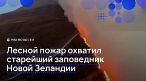 Лесной пожар охватил старейший заповедник Новой Зеландии