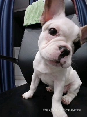 Аудиокнига !