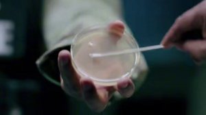 Стартовал сериал от автора «Во все тяжкие» и «Лучше звоните Солу» Винса Гиллигана — «Из многих».