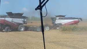 Уборочная гороха продолжается. New Holland T9030.