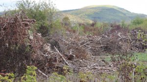 В Бахчисарайском районе выявлено сразу несколько нарушений в сфере использования сельхозземель