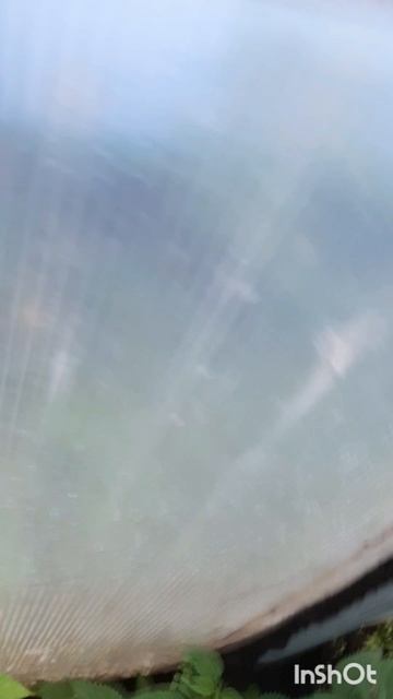 Животные.Сборник интересных моментов из жизни животных.Фильм6.Серия1.Часть3.mp4