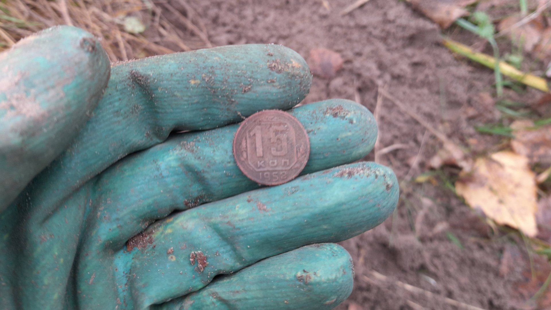 Лесной коп на локации кордон Корак (Марий Эл)