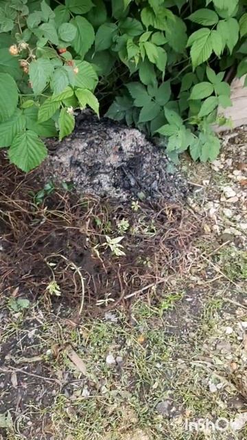 Дом и двор.Сборник интересных моментов на эту тему.Фильм5.Серия1.Часть2  .mp4