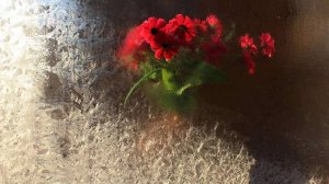 Народные приметы на 8 ноября: что можно и нельзя делать