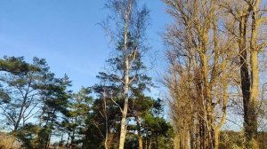 Велодорожка 071125