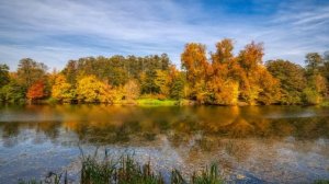 Лучик надежды... Николай Баданин