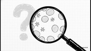 Переполненное сердце: фибробласты, гипоконтрактильность и дилатационная кардиомиопатия