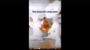 КХХАХАХПХПХХК ЭЛЕКТРО КОТ