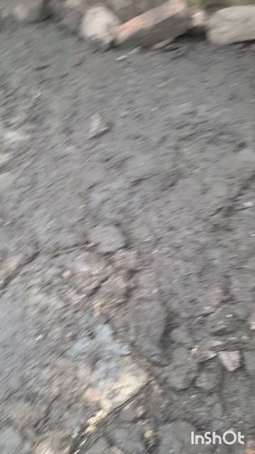 Животные.Сборник интересных моментов из жизни животных.Фильм6.Серия1.Часть2  .mp4