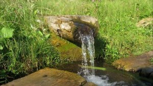 Шум родника на камнях. Звуки родника. Звуки воды. Журчание родника. ASMR