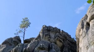 Кулаки Довбуша