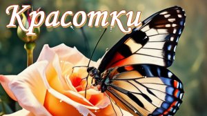 Красотки бабочки. Просто живой звук. Музыка: Николай Макаренко. Флейта и монтаж: Наталья Макаренко
