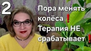 Пора менять колёса❗️Терапия НЕ срабатывает❗️