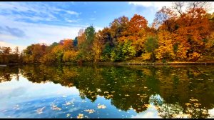 ПОЧУВСТВУЙ МАГИЮ ОСЕНИ! ДОБРОГО УТРА ВСЕМ!