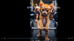 АХАХАХАХАХХАХА МОИ ТЕКСТЫ НА ВИДИО