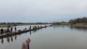 Запуск форели в акваторию !!!