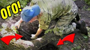 ФАРТОВЫЙ Поиск в ЛЕСУ, НАХОДКА в КОРНЯХ Старого Дерева УДИВИЛИ нас с Батей!!!