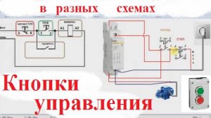 КНОПКИ УПРАВЛЕНИЯ. Как подключать, из чего состоит, использование в схеме.