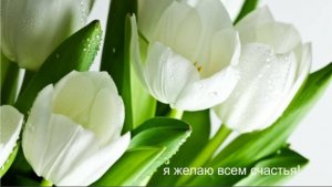 Молитва за мир во всем мире! Live 09.11.2025