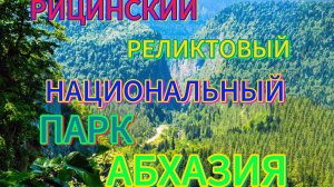 ⛰️Рицинский реликтовый⛰️национальный парк🏞Абхазия.#абхазия #горыабхазии #отпуск2025 #лето2025